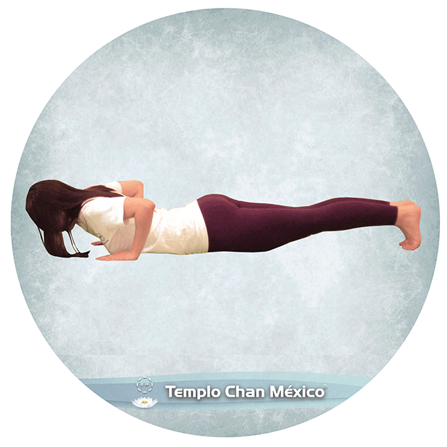 Clase de Yoga 2 Foto propiedad del Templo Chan México