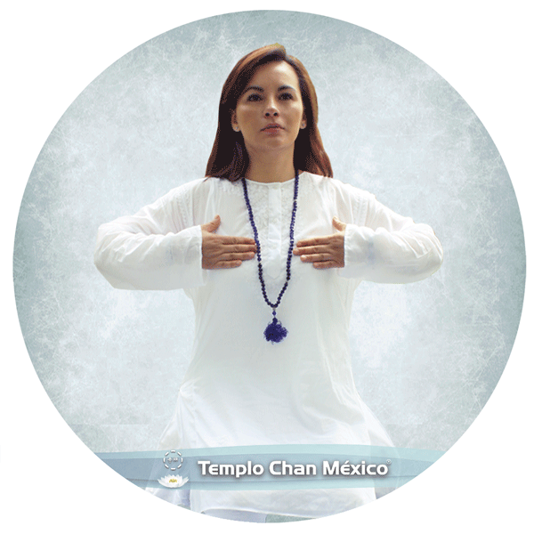 Ejercicio salud Qi Gong Foto Propiedad del Templo Chan México